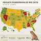 Image for article titled America’s Hidden Big Cat Problem